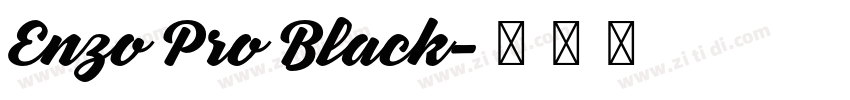 Enzo Pro Black字体转换